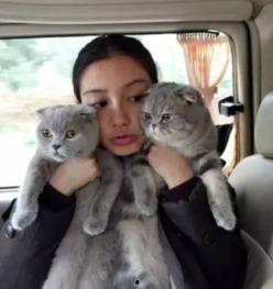 娱乐吃瓜酱小众宠物