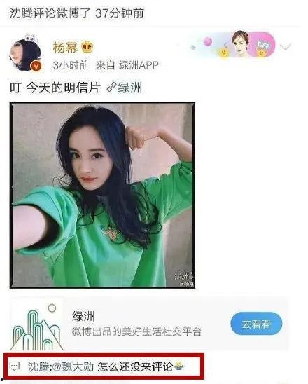 娱乐圈吃瓜网站